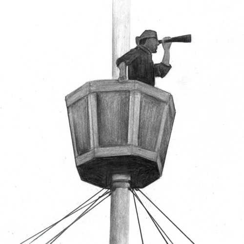 A View From The Crow's Nest