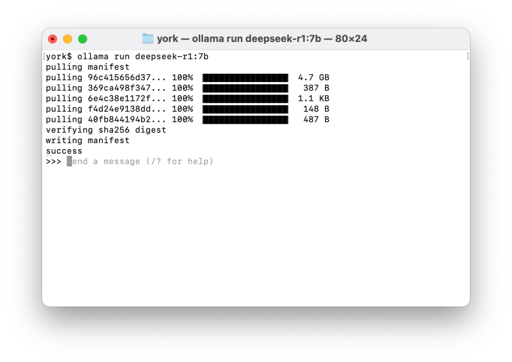 Screenshot of a Mac terminal window showing the execution of the "ollama run" command